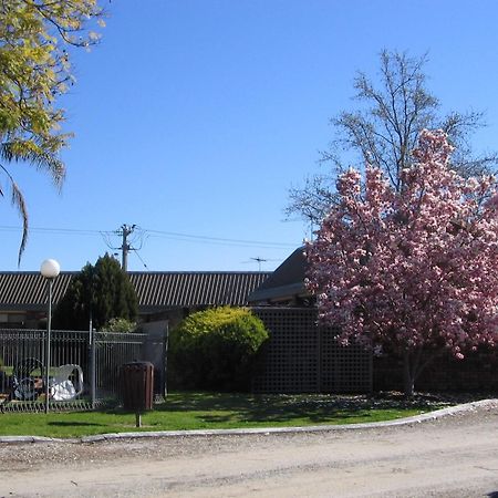 Belvoir Village Motel & Apartments Wodonga Exterior photo