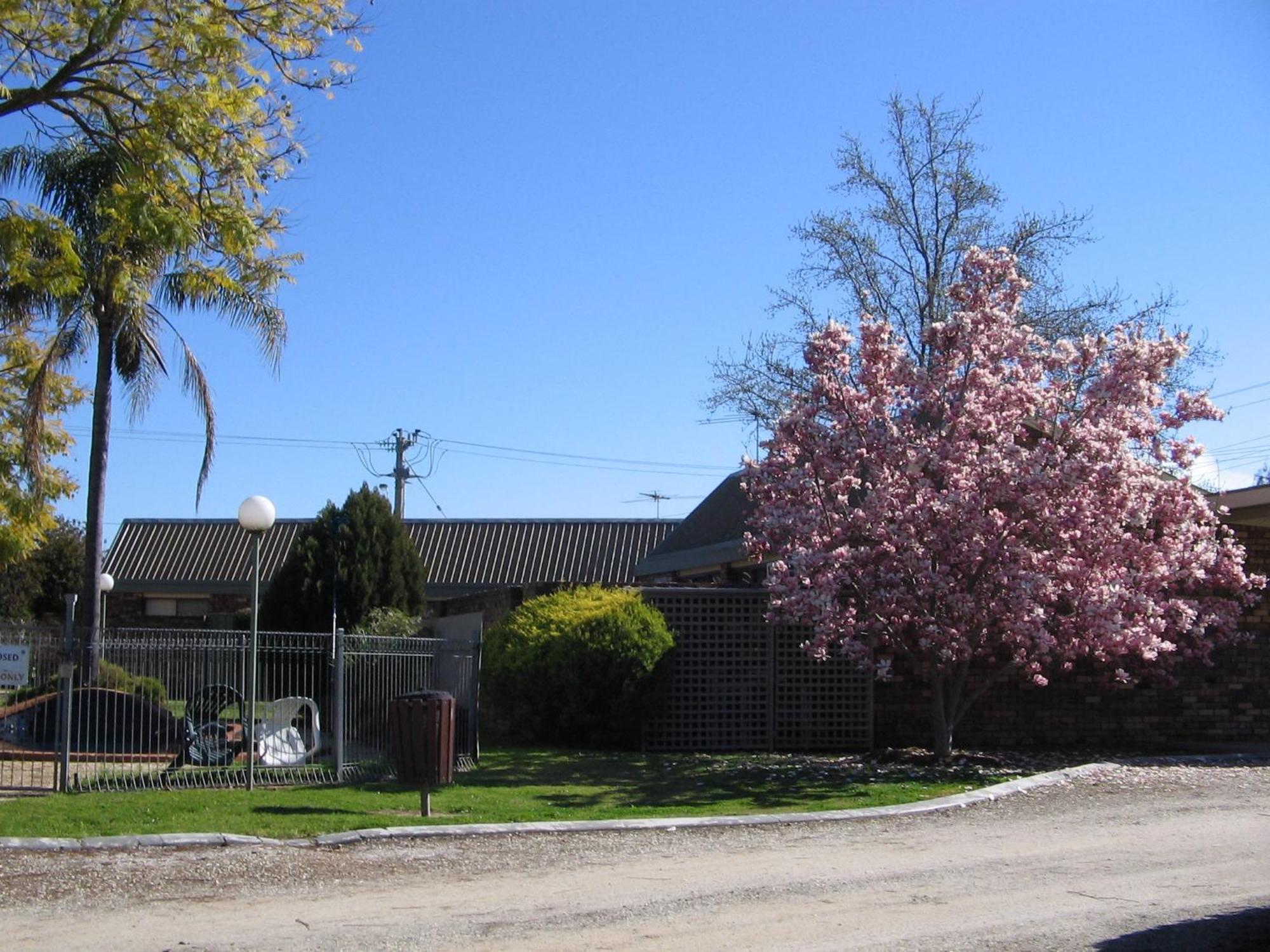 Belvoir Village Motel & Apartments Wodonga Exterior photo